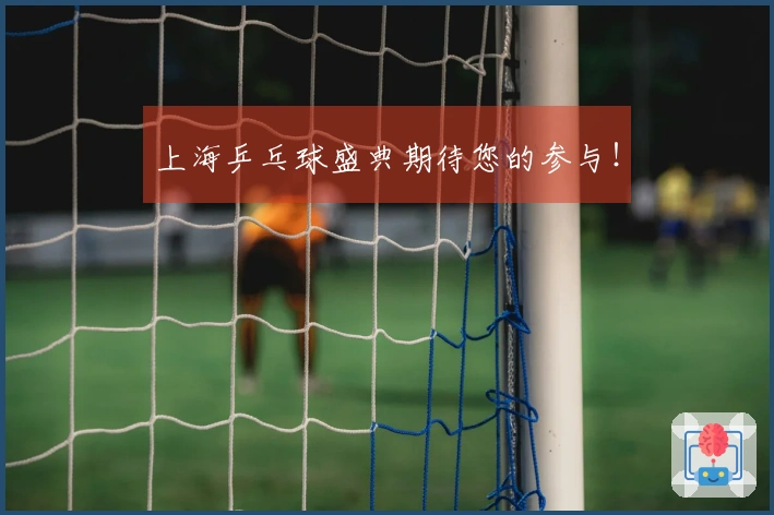 上海乒乓球盛典期待您的参与！